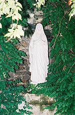 Photo of Our Lady in the Grotto Statue